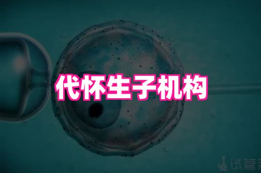 123试管孕网 4